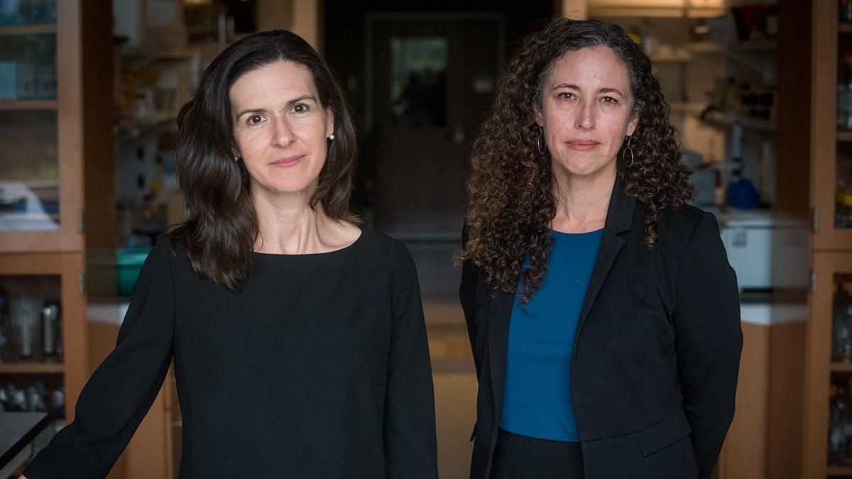 Meira Epplein, PhD, associate professor in population health sciences and medicine, and Katherine Garman, MD, MHS, associate professor of medicine