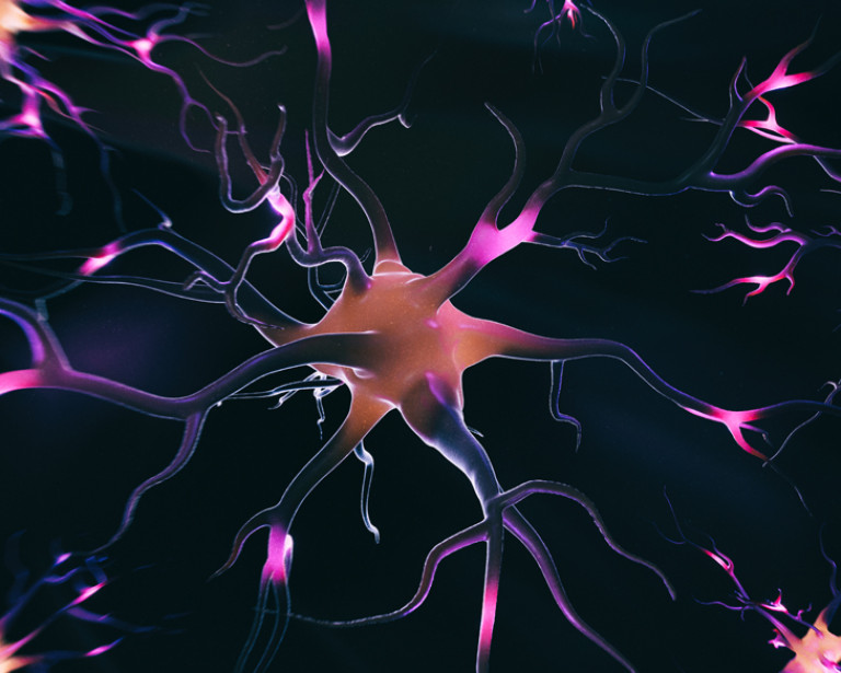 A rendering of the nervous system impacted by Parkinson's Disease.