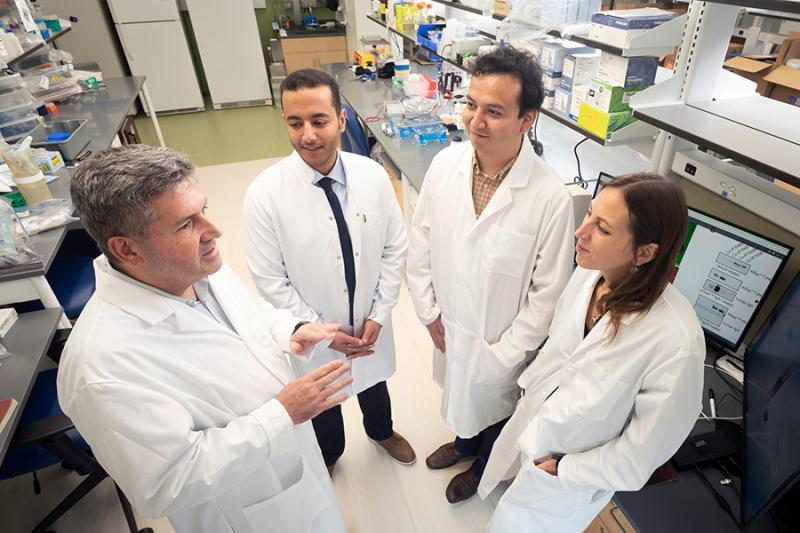 Jose Ramon Conejo-Garcia, MD, PhD, (left), worked with co-authors Mostafa Eysha, PhD; Luis Bailon, PhD; and co-senior author Carmen Anadon, PhD, on an antibody approach for precision cancer treatment. (Photo by Les Todd)